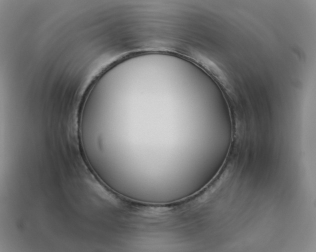 X0000113911184200910081843