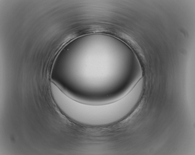 X0000113911185200910081843