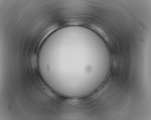 X0000113911186200910081843