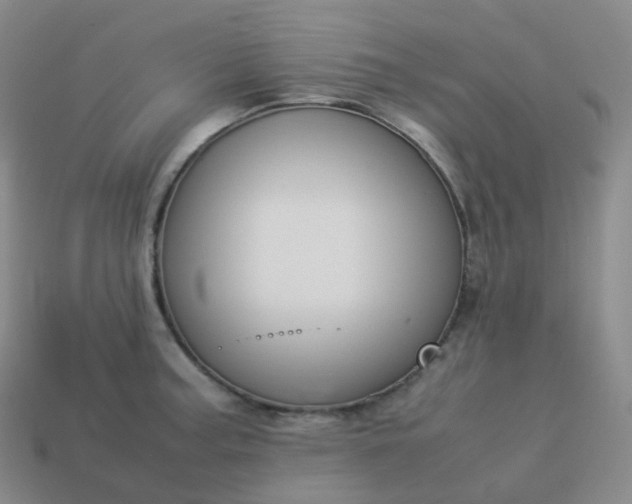 X0000113911187200910081843