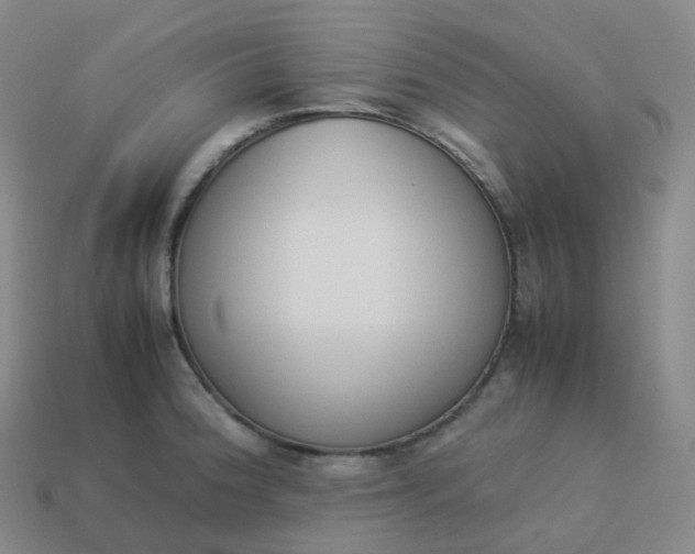 X0000113911188200910081843