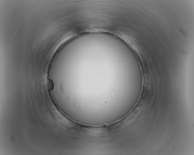 X0000113911189200910081843