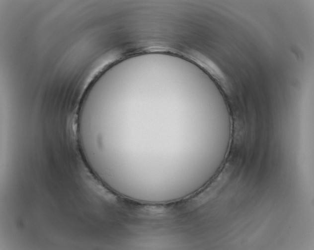 X0000113911190200910081843