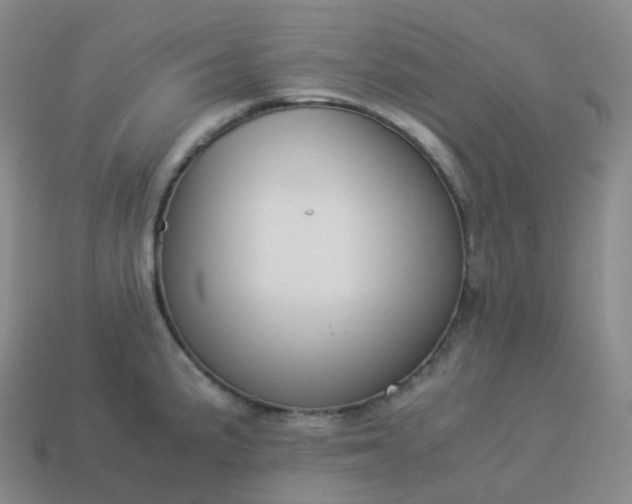 X0000113911191200910081843