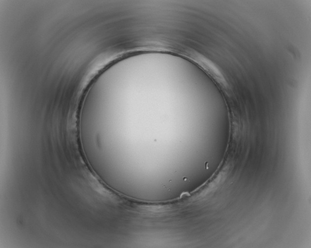 X0000113911192200910081843