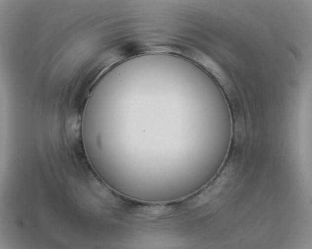 X0000113911193200910081843