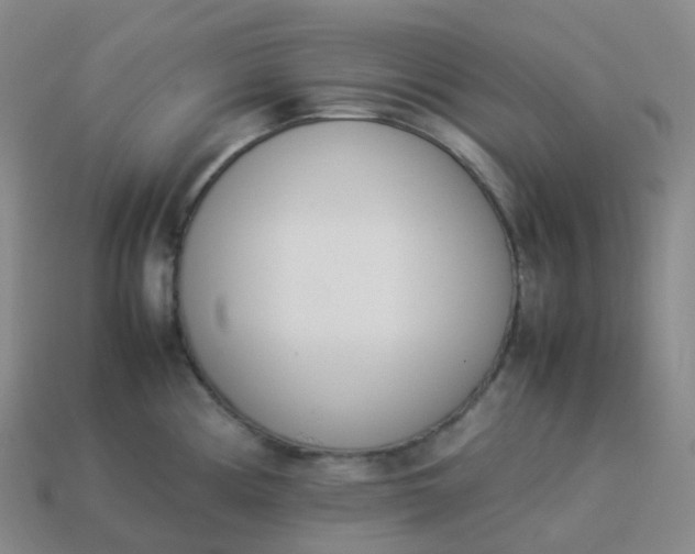 X0000113911194200910081843