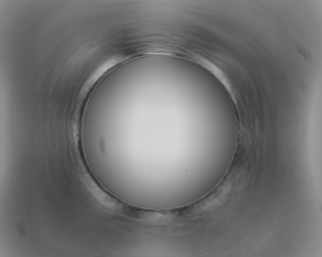 X0000113911195200910081843