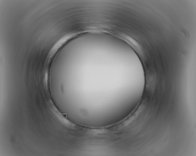 X0000113911196200910081843