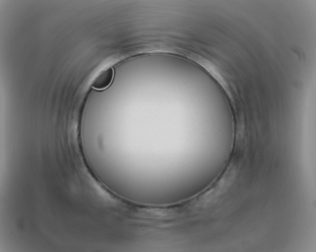 X0000113911197200910081843