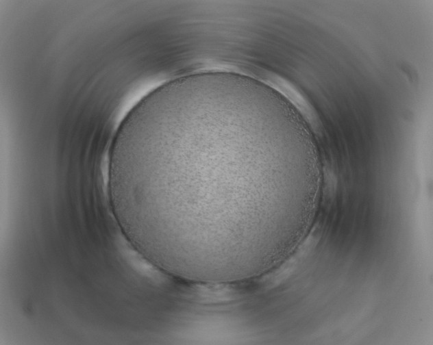 X0000113911198200910081843