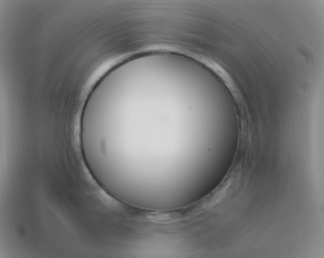 X0000113911199200910081843