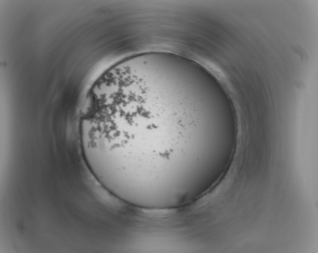 X0000113911200200910081843