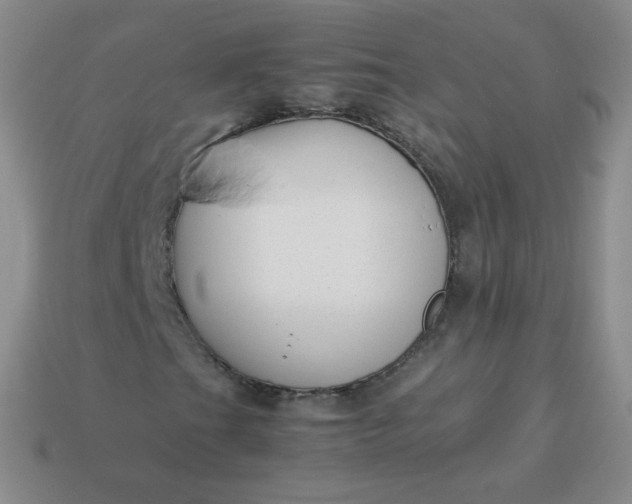 X0000113911201200910081842