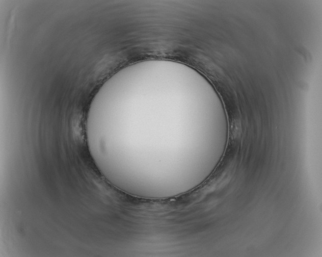 X0000113911202200910081842