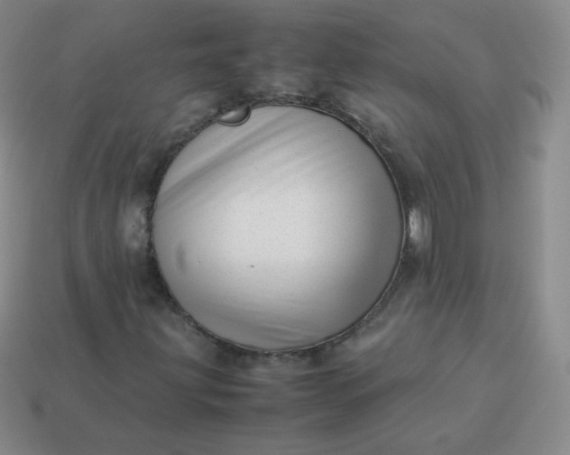 X0000113911203200910081842