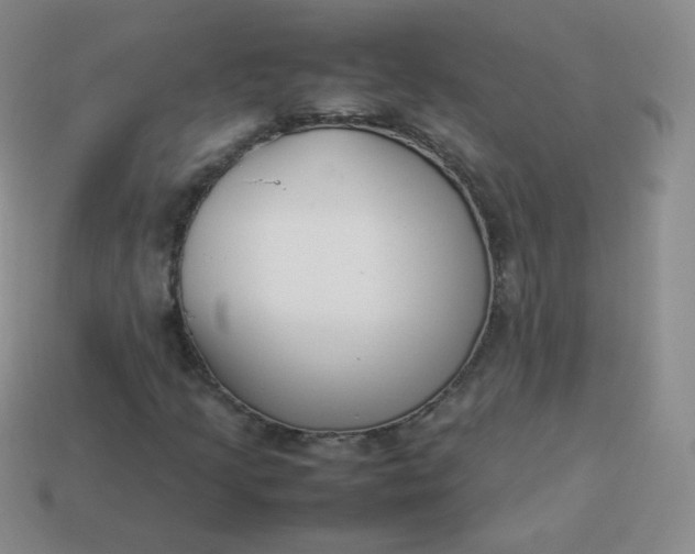 X0000113911205200910081842