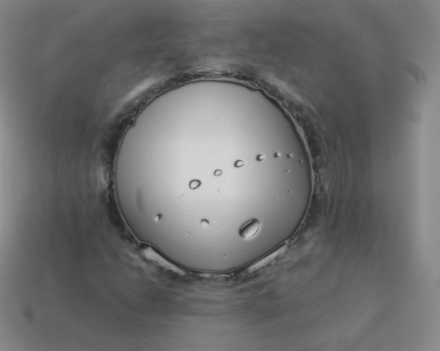 X0000113911206200910081842