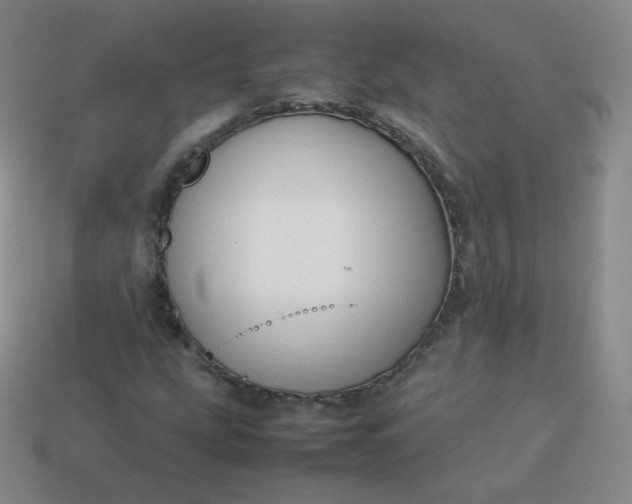 X0000113911207200910081842