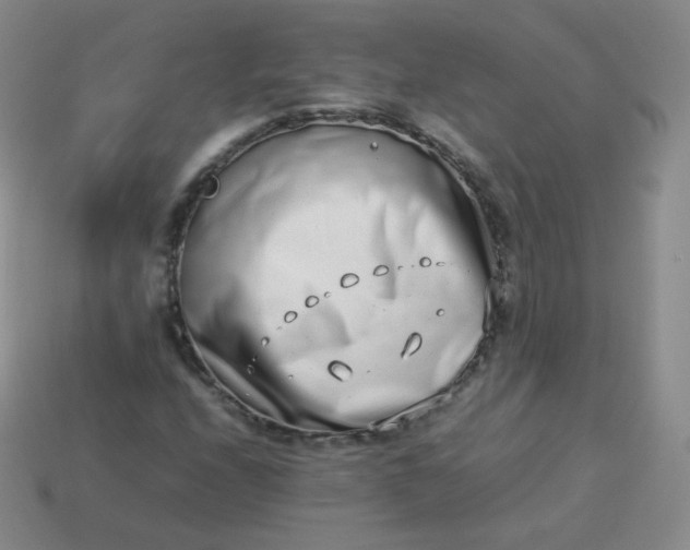 X0000113911208200910081842