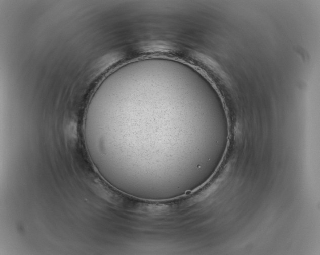 X0000113911209200910081842