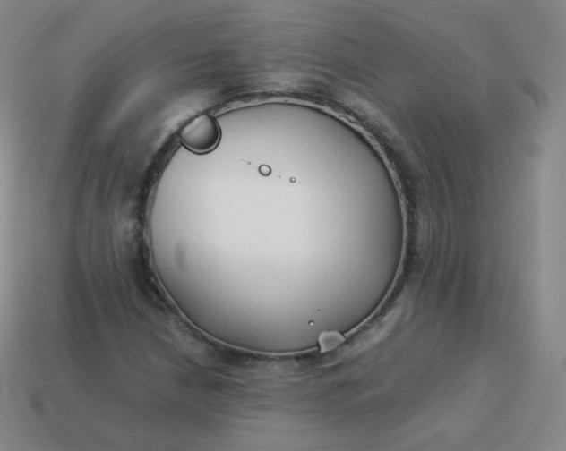 X0000113911210200910081842