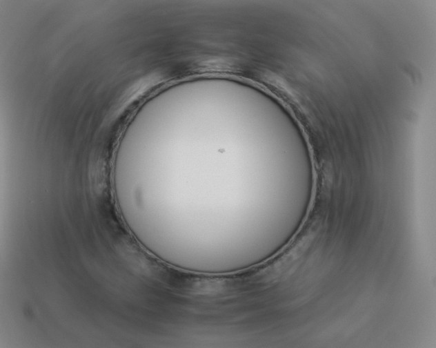 X0000113911211200910081842