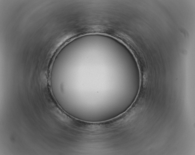 X0000113911212200910081842