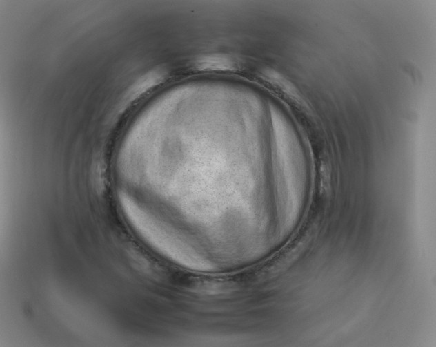 X0000113911213200910081843