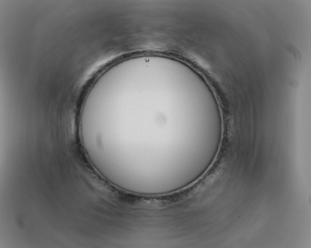 X0000113911214200910081843