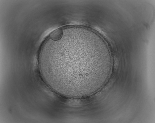 X0000113911215200910081843