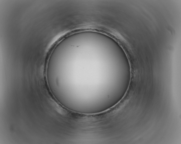 X0000113911216200910081843