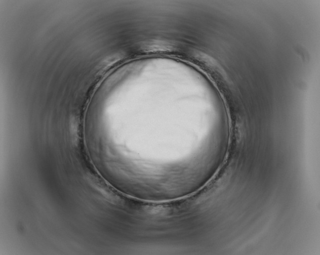 X0000113911217200910081843