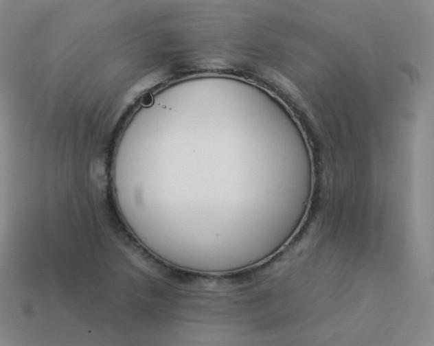 X0000113911218200910081843