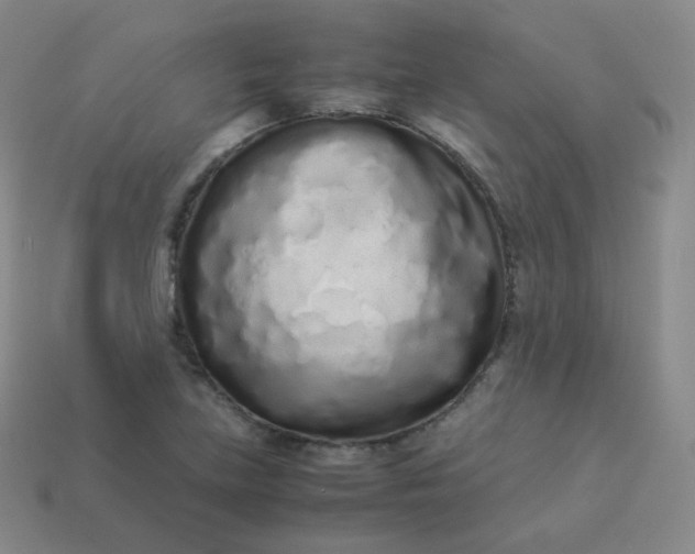 X0000113911219200910081843