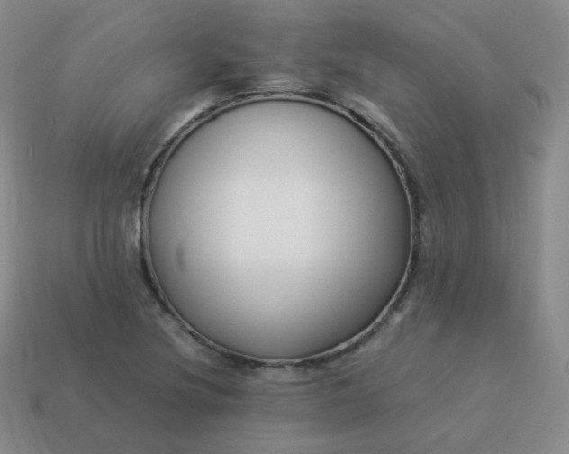 X0000113911220200910081843