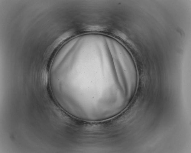 X0000113911221200910081843