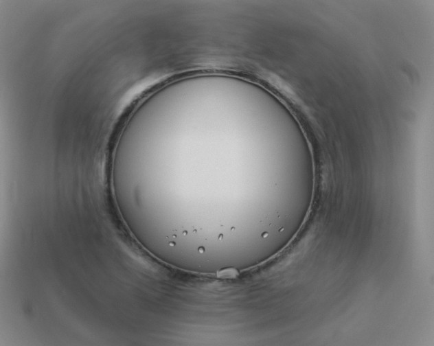 X0000113911222200910081843