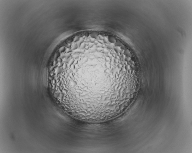 X0000113911223200910081843