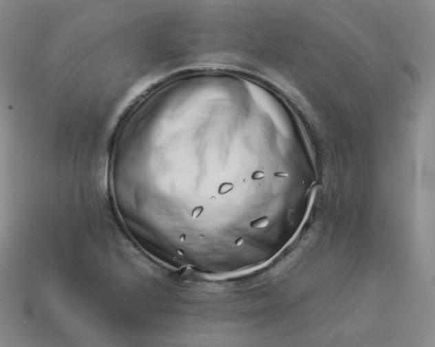 X0000113911224200910081843