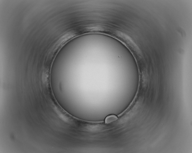 X0000113911225200910081843