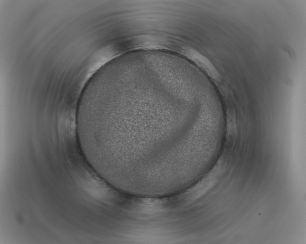 X0000113911226200910081843