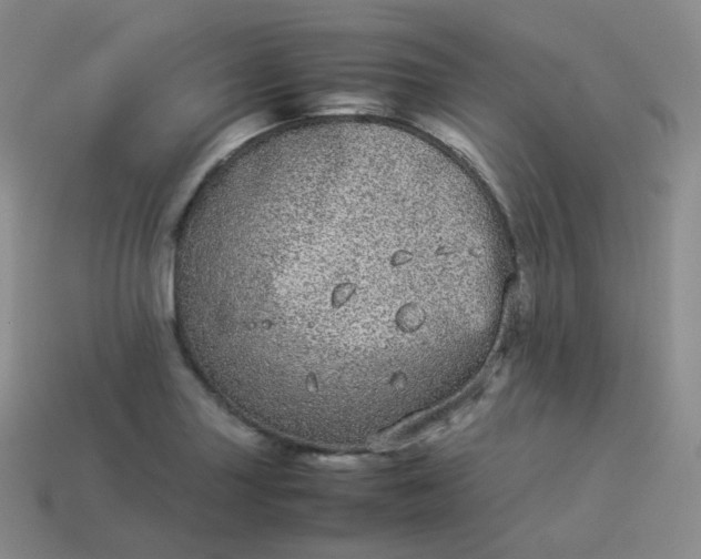 X0000113911227200910081843