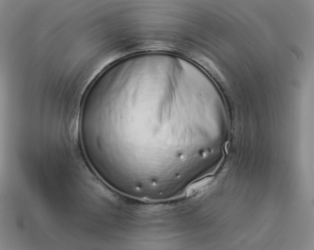 X0000113911228200910081843