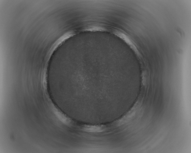 X0000113911229200910081843