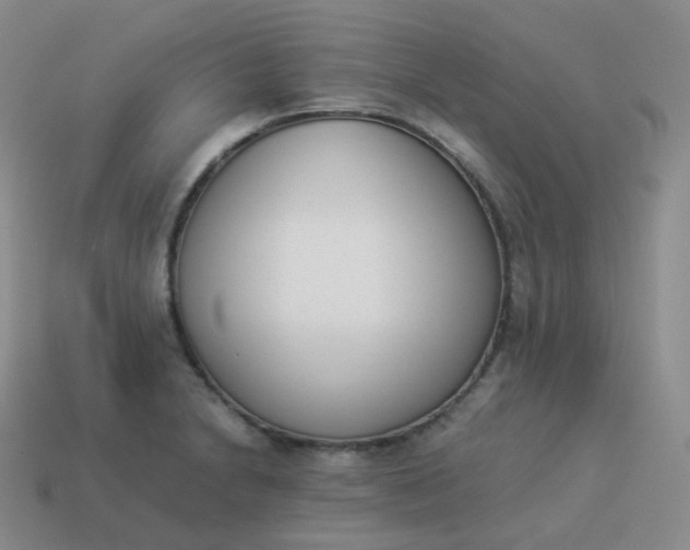 X0000113911230200910081843