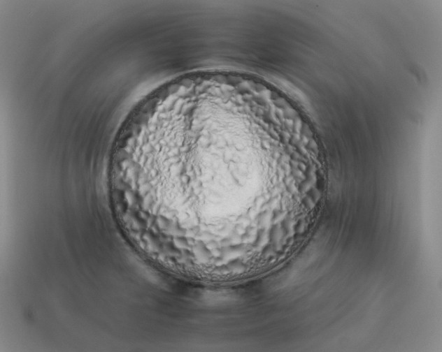 X0000113911231200910081843