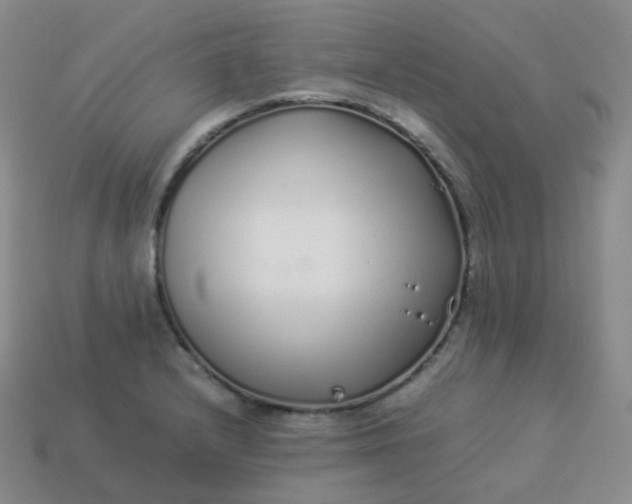 X0000113911232200910081843