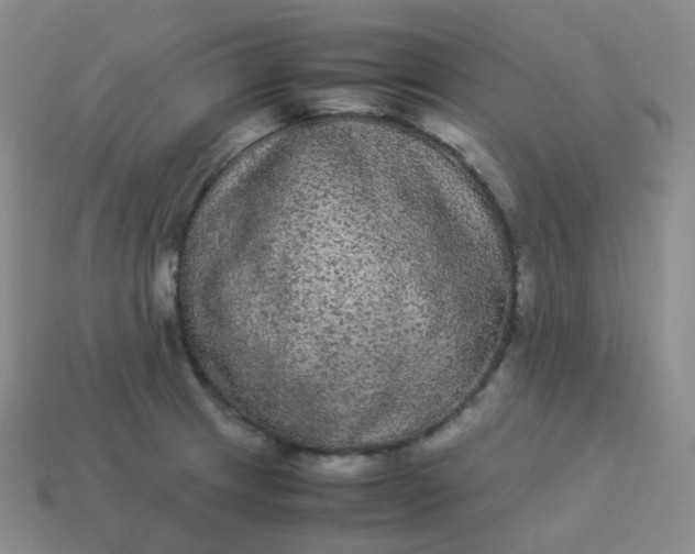 X0000113911233200910081843