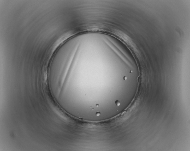 X0000113911234200910081843